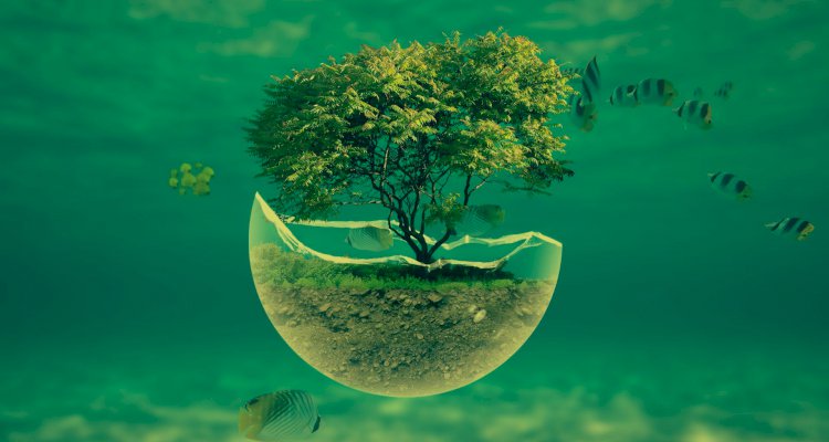 Borrow - Loan Company Website Template